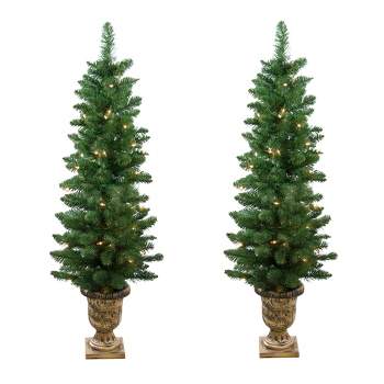 Northlight Set of 2 Pre-Lit Whitmire Pine Potted Artificial Christmas Trees 4' - Clear Lights