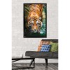 Trends International Tiger - Water Framed Wall Poster Prints - 2 of 4