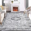 Washable Vintage Rug Non Slip Low Pile Rug Soft Throw Floor Cover Foldable Indoor Carpet for Living Room Bedroom Office - 2 of 4