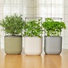 Vego Garden Self-Watering Mini Rectangular Indoor Outdoor Planter Pot with Trellis 7"x7"x14" - 3 of 4