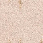beige/beige