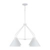 Capital Lighting Alden 4 - Light Chandelier in  Matte White - 3 of 4