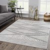 Hauteloom Tigrisis 2326 Gray Rug - 4 of 4