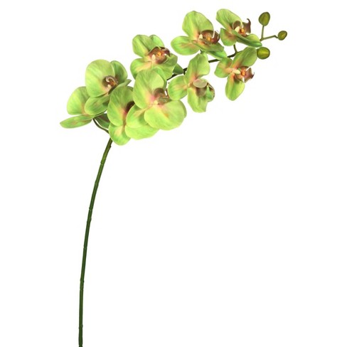 vickerman