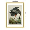 Amanti Art Lustr Great Blue Heron in Pearl White by John James Audubon Wood Framed Wall Art Print - 3 of 4