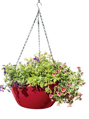 Gardener's Supply Company Viva Self-Watering Hanging Basket With Easy-Fill Water Port | 14 Inch Diameter Includes Hanging Chain & Hook - Red