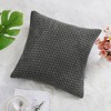 PiccoCasa Home Bedroom Comfortable Soft Velvet Throw Pillow Cover - 3 of 4