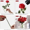 BRINJOY Classic Red Artificial Roses - 12 Long-Stem Silk Roses for Weddings, Home & Office Decor (50cm) - 4 of 4