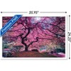 Trends International Pink Tree 2 by Moises Levy Framed Wall Poster Prints - 3 of 4