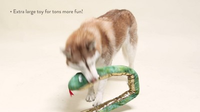 PETSHOP STAY COOL INTERACTIVE DOG TOYS – PetShop.fringestudio
