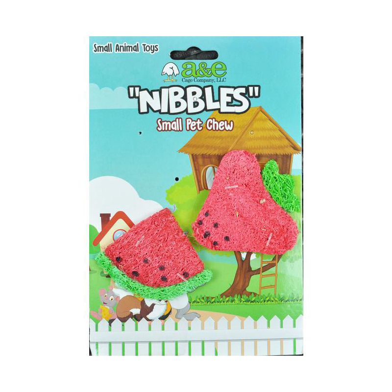 AE Cage Company Nibbles Strawberry and Watermelon Loofah Chew Toys - 2 count, 1 of 5