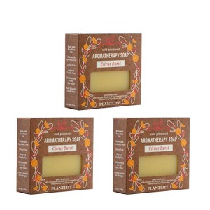 Plantlife Citrus Burst Bar Soap – Moisturizing, Soothing, Handcrafted, Plant-Based – Made in California, 4oz - 1 of 4