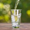 Dark Horse Comics Game Of Thrones Greyjoy Pint Glass - 3 of 3