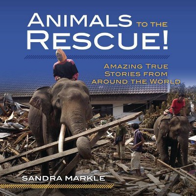 Animals to the Rescue! - (Sandra Markle's Science Discoveries) by  Sandra Markle (Hardcover)