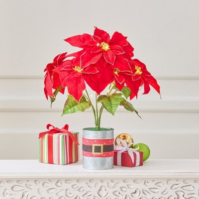 BrylaneHome Pre-Lit Tabletop Trees