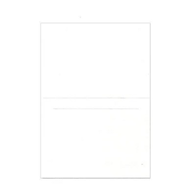 JAM Paper Blank Foldover Cards A6 Size 4 5/8 x 6 1/4 White Panel 309927C