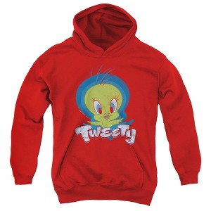 Boys’ Looney Tunes Tweety Swirl Hooded Sweatshirt - 1 of 4