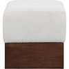 Meridian Furniture,Havre Velour Fur Fabric Ottoman/Stool - 3 of 4
