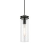 Livex Lighting Devoe 1 - Light Pendant in  Black/Brushed Nickel - 4 of 4