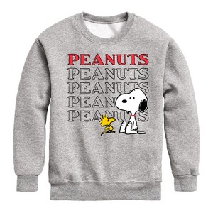 Boys' - Peanuts - Snoopy Woodstock Graphic Long Sleeve Fleece Sweatshirt - 1 of 4
