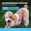 DynoPet Digestive Probiotic Chews Supplement for Dogs - Bacon Flavor - 80 Soft Chews - 4 of 4