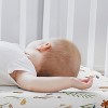 Sweet Jojo Designs Girl Baby Bassinet Fitted Sheets Set Watercolor Floral Garden Green Orange and Beige 2pc - 3 of 4