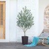 DR.Planzen 72" Artificial Olive Tree - 6FT UV Resistant Fake Plant with 15.7" Tall Planter Planter for Indoor House Plants & Tall Floor Decor - 4 of 4