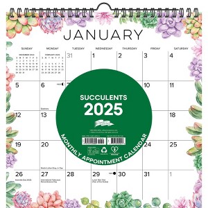 Willow Creek Press Succulents 2025 12"x12" Spiral Wall Calendar: Monthly Paper Planner, All Ages, Blue, January-December - 1 of 4