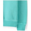 The Children's Place Boys Active Long Sleeve Garment Dyed Premium Fleece Sweatshirt - 4 of 4