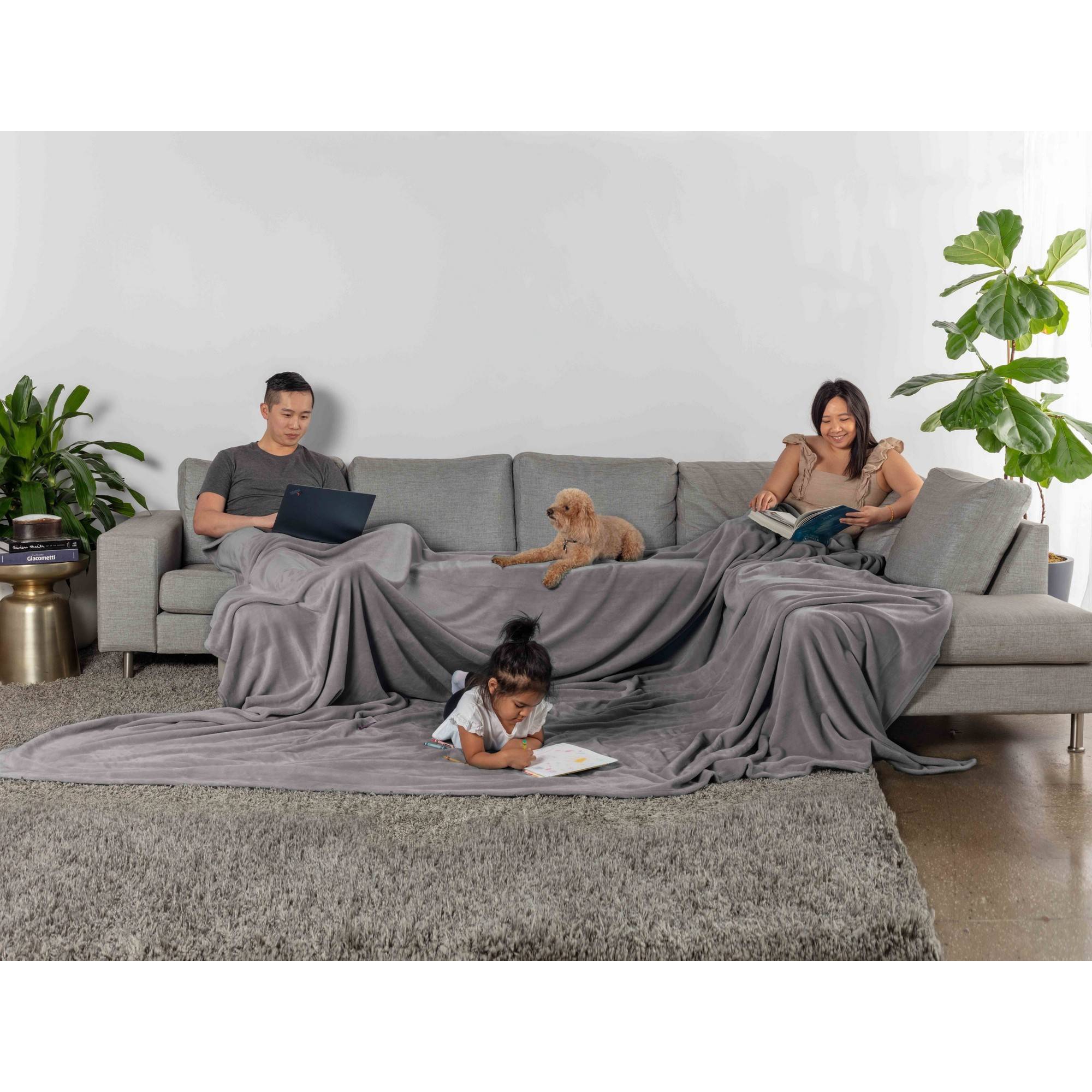Truly Soft Velvet Plush Family Blanket Gray