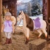 Lori Doll with Horse Marjorie & Maple - image 4 of 4