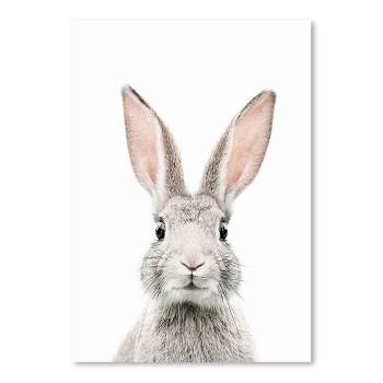Americanflat Animal Bunny Face By Sisi And Seb Poster Art Print