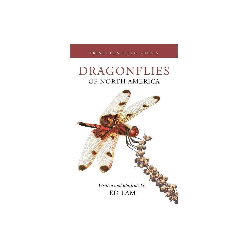 Dragonflies of North America - (Princeton Field Guides) by Ed Lam (Paperback)