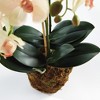 Plum & Post Phalaenopsis Orchid Artificial Plant Drop-In - 2 of 4