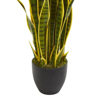 Tiny Green and Yellow Faux Sansevieria Plant in Black Pot