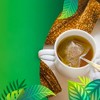 Cederberg Tea Company Green Herbal Tea, USDA Organic, Non-GMO, Eco-Friendly and Caffeine Free - 100 Compostable Tea Bags - 3 of 4