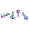 Wolf Tooth Titanium Water Bottle Cage Bolts, 4 Piece, Standard Head Raw - 2 of 3
