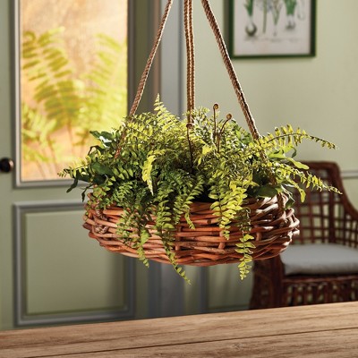 Rustic Green Artificial Fern Plant in Natural Pot