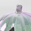 Wonder Pumpkin Decor Figurine - Hyde and EEK! Boutique™ Iridescent - 3 of 3