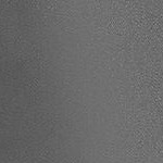 arctic gray