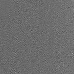 arctic gray