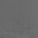 arctic gray