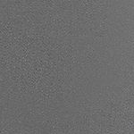 arctic gray