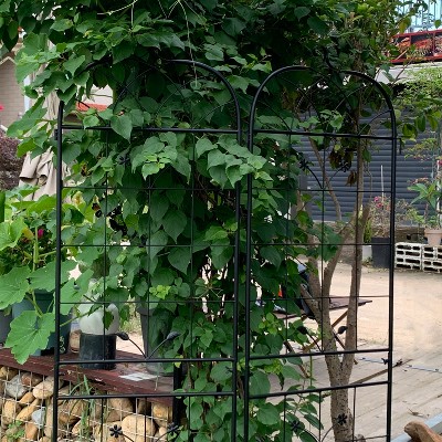 Vynxaria Metal Garden Trellis, 2 Pack Metal Trellis for Climbing Plants, Indoor/Outdoor Plant Trellis for Potted Plants, House Plants, Climbing