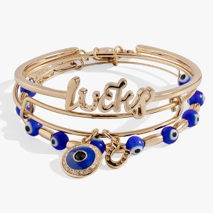 Alex and Ani Evil Eye Bangles Set of 3 - 1 of 2