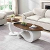 2 Piece Nesting Coffee Table Set,MDF Top and Metal Base Coffee Table with Oval and Round Shape,Coffee Table Set for Modern Living Room-Coolbibila - 2 of 4