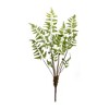 Melrose Varigated Fern Bundle (Set of 6) - 3 of 3