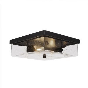 Toltec Lighting Nouvelle 2 - Light Flush Mount in  Espresso with 13" Clear Bubble Shade - 1 of 1