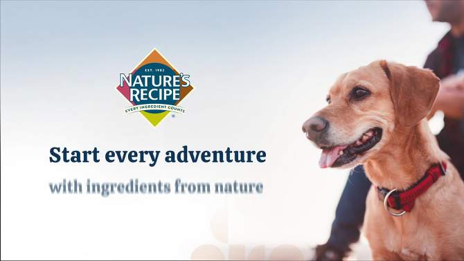 Nature&#39;s Recipe Grain-Free In Broth Wet Dog Food Chicken &#38; Duck Recipe - 2.75oz, 2 of 6, play video