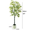 6FT Artificial Lemon Tree Potted That Look Real, Faux Lemons Citrus Plants with Yellow Fake Lemons Fruits in Pot, Indoor Tall Artificial Trees - 3 of 4